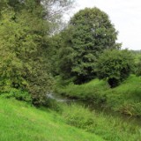 1009F 017 Goeppingen-PB